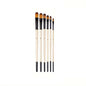 6Pcs Paint Brushes Set Soft Nylon Filbert Angular Flat round Pointed Tip Acrylic Paint Brushes for Watercolor Oil Acrylic