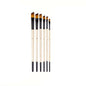 6Pcs Paint Brushes Set Soft Nylon Filbert Angular Flat round Pointed Tip Acrylic Paint Brushes for Watercolor Oil Acrylic