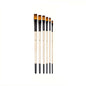 6Pcs Paint Brushes Set Soft Nylon Filbert Angular Flat round Pointed Tip Acrylic Paint Brushes for Watercolor Oil Acrylic